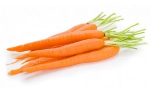 CARROTS BABY x BUNCH