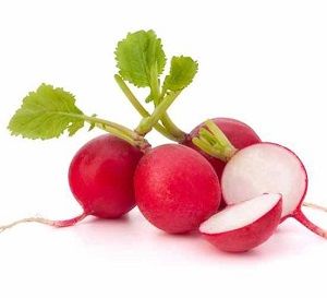 RADISH  5 PERx BUNCH