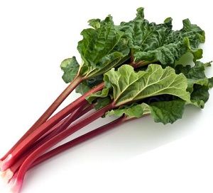 RHUBARB 1kg BUNCH x BUNCH