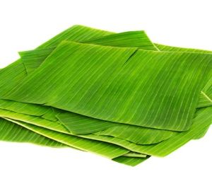 BANANA LEAVES x KG