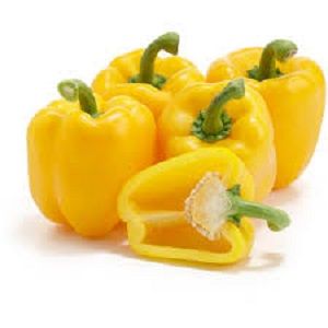 CAPSICUM YELLOW x KG