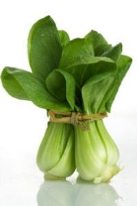 BOK CHOY x EA