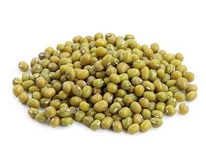 MUNG BEANS x PUNNET