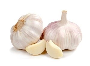 PEELED GARLIC  x KG