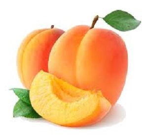 APRICOTS x KG