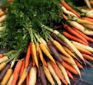 HEIRLOOM CARROTS BUNCH x BUNCH