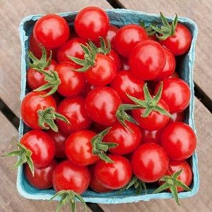 TOMATOES CHERRY LOOSE TRAY x TRAY