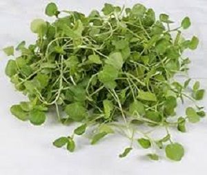 WATERCRESS FRESH x BUNCH