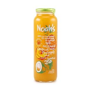 NOAHS APPLE NECT COCONUT PINE LIME JUICE 12x260ml