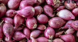 SHALLOTS FRESH x KG