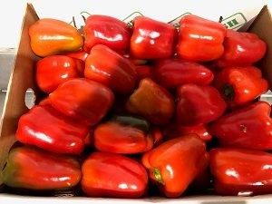 BELL PEPPERS RED x 3kg BOX