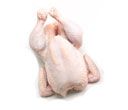 #14 FRESH INGHAM CHICKENS x 9