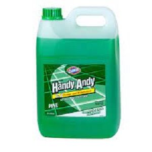 HANDY ANDY GREEN PINE DISINFECTANT x 5lt (2)