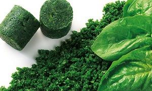 SPINACH CHOPPED PORTIONS ARDO (GF) 15g x 2.5kg (4)