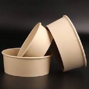 20oz BAMBOO BOWL PLA LINING FF x 50 (4)