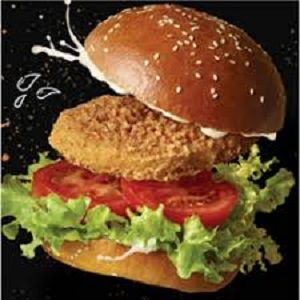 100g CHICKEN BREAST BURGER INGHAM x 1kg (5)
