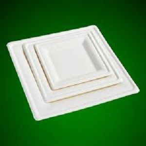 PLATE SQUARE 16cm FIBRE ECHOICE x 25 (20)