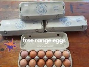 EXTRA LARGE FREE RANGE EGGS HIGHFIELDS x DOZEN