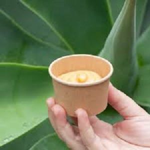 70ml SAUCE CONTAINER KRAFT FPA x 100 (10)