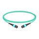 MPO Trunk Cables