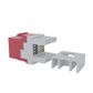 Cat6 RJ-45 UTP Keystone Jack. Red, 180 degrees, 12pc Pack