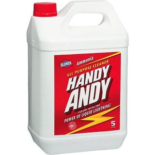 HANDY ANDY REGULAR 5L