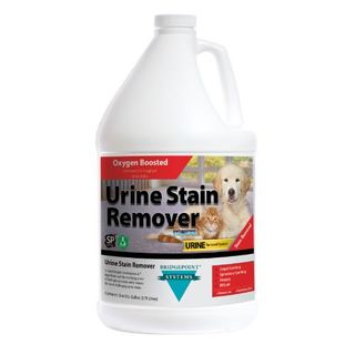 URINE STAIN REMOVER WITH HYDROCIDE 1 GAL