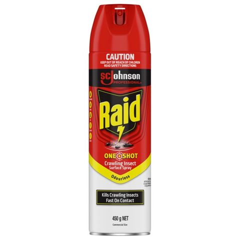 RAID CRAWLING INSECT KILLER AEROSOL 450G [DG-C2] (MPI TYPE B)