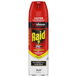 RAID CRAWLING INSECT KILLER AEROSOL 450G [DG-C2] (MPI TYPE B)