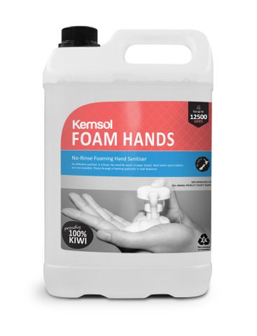 FOAM HANDS INSTANT HAND SANITISER 5L