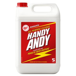 HANDY ANDY REGULAR 5L