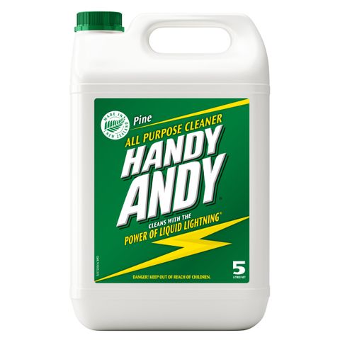 HANDY ANDY PINE 5L