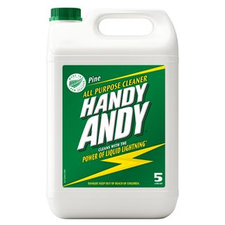 HANDY ANDY PINE 5L