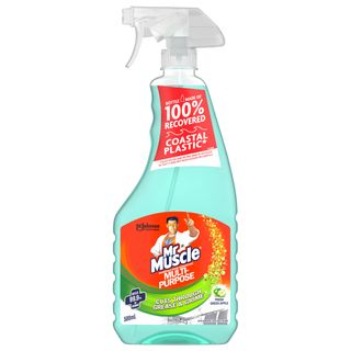 MR MUSCLE MULTI-PURPOSE DISINFECTANT 500ML - APPLE