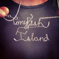 Ponyfish Island