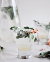 Honey Sage Gin Fizz