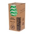 PAPER STRAW GREEN/WHITE STRIPED 205MM, AUSTRAW