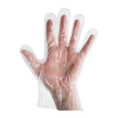 DISPOSABLE GLOVE LRG LDPE CLEAR 5000CT