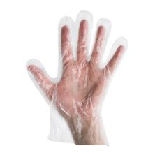 DISPOSABLE GLOVE LRG LDPE CLEAR 500PK