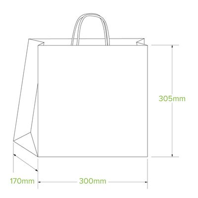 BAG TAKEAWAY LARGE 300X305X170MM