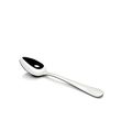 TEASPOON STANLEY ROGERS, BAGUETTE DOZ