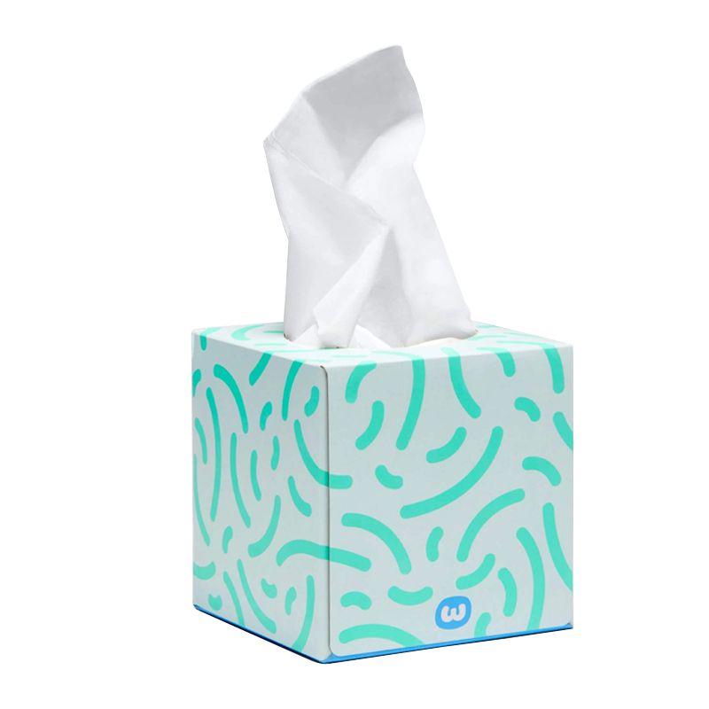 FACIAL TISSUE 12CTN 3PLY, WGAC