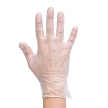 DISPOSABLE GLOVE POWDER FREE LARGE 100PK