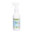 GLASS & STAINLESS STEEL SPRAY 1LT ECODEV