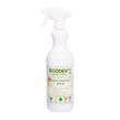 MULTI PURPOSE CLEANER SPRAY 1LT, ECODEV