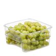 CONTAINER FRESH PRO CLEAR 1.9L, CAMBRO