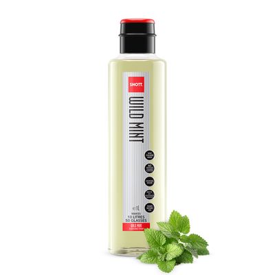 WILD MINT SYRUP 1LT SHOTT