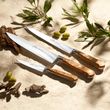 KNIFE BREAD 20CM, SABATIER OLIVE WOOD