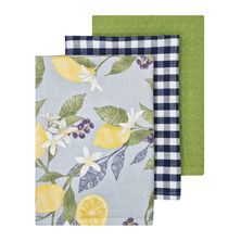 TEA-TOWEL 3PK MULTI, LEMON