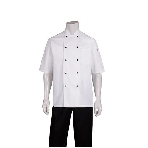 CHEF JACKET WHITE S/SLEEVE-L-MACQUARIE